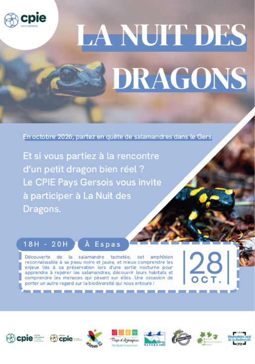 Nuit des dragons